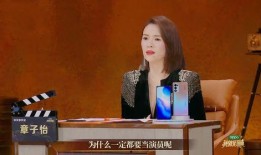 王雁林爆料时尚视频播放,时尚视频背后的播放奥秘